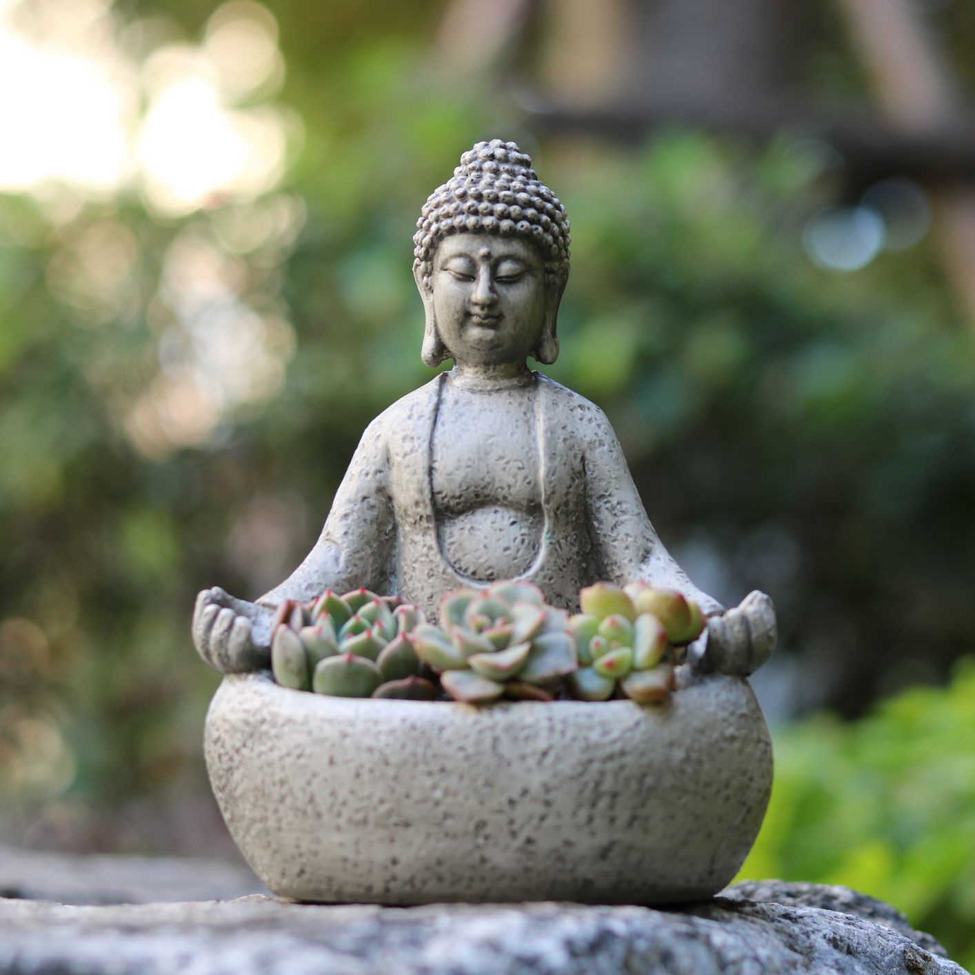 Succulent Planter Pot - Pot Tanaman Sukulen Buddha Meditasi, Pot