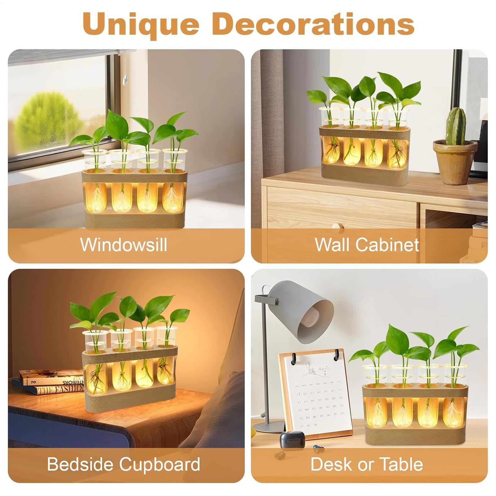 Stasiun Perbanyakan Tanaman LE - Home Decor Youtube ulasan dan harga