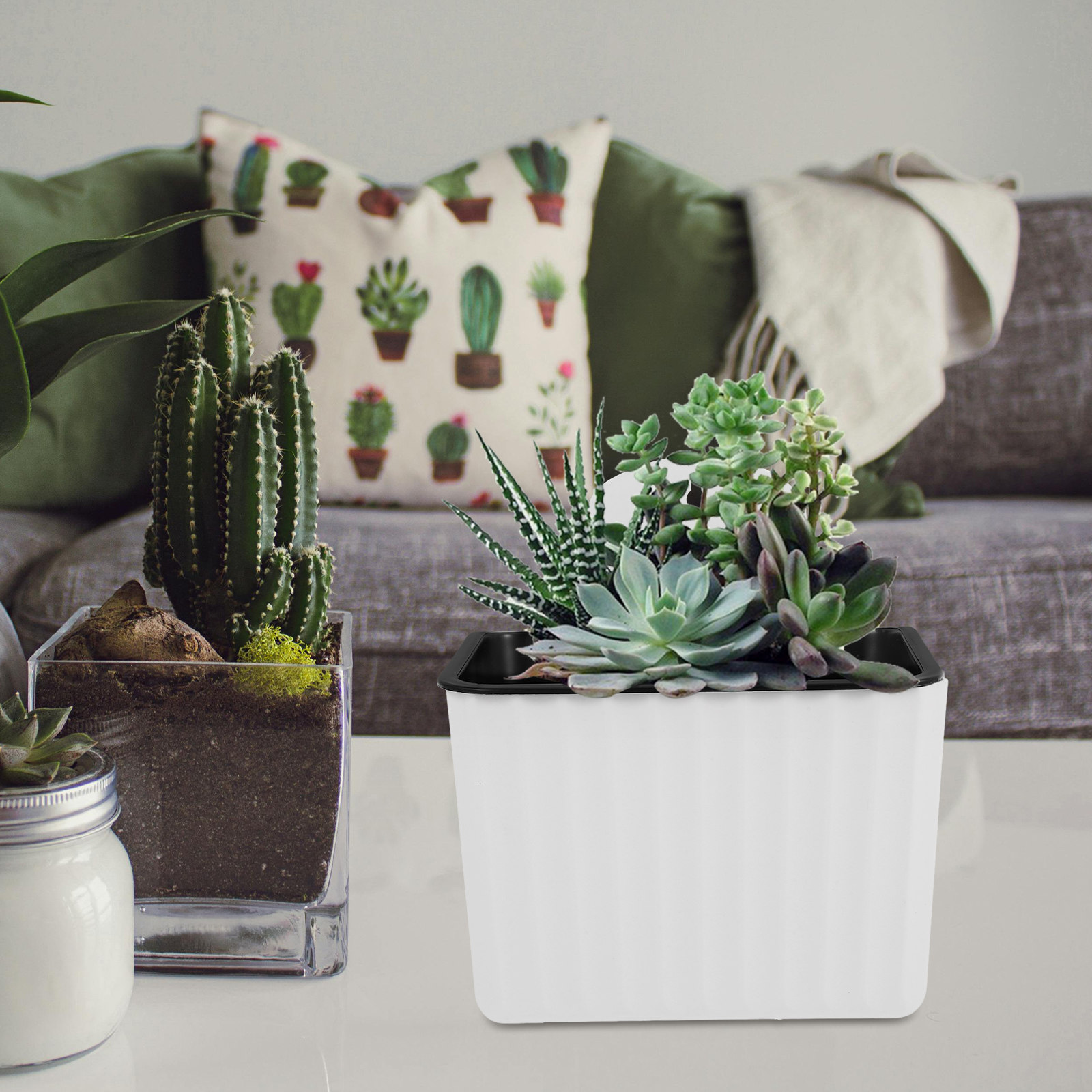 2 Buah Pot Bunga Penyiram Otom - Succulent Planter Pot ulasan dan harga