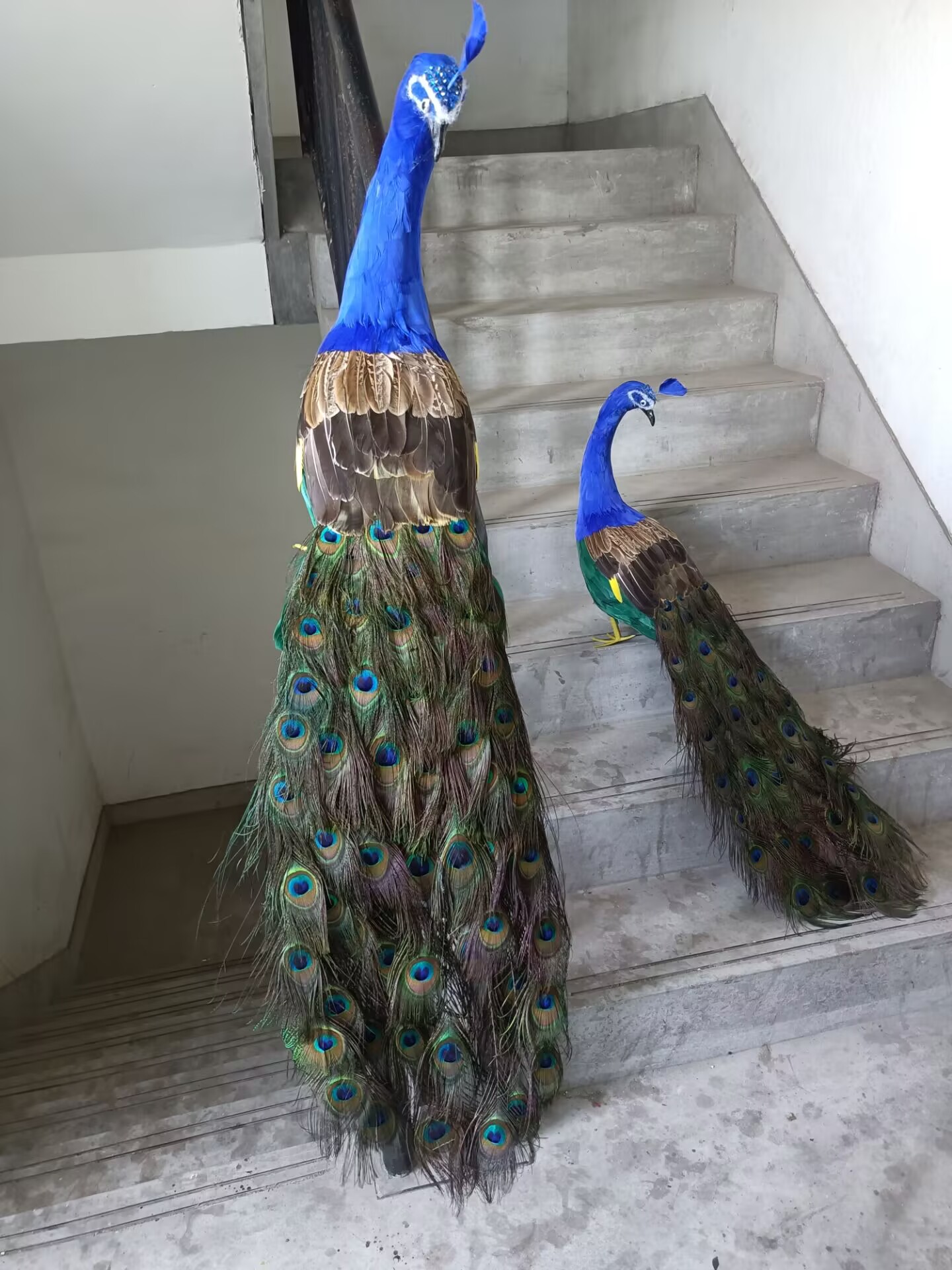 Model Merak Realistis 105cm, S - Home Decor Design Ideas ulasan dan harga